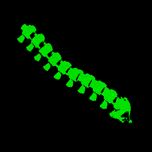 Small Spine One Image